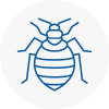 Bed Bug Extermination In Pilsley